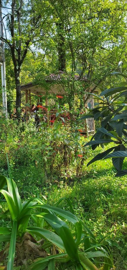 Villa Gelati Koetaisi Buitenkant foto